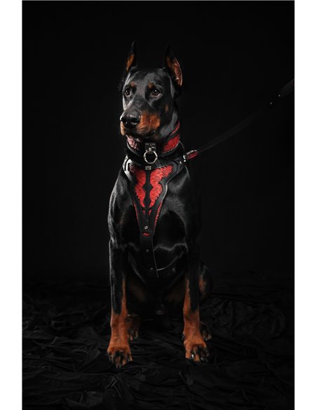 Zgarda Red Dragon, Piele Naturala, Negru, pentru Cane Corso, Amstaff, Doberman etc