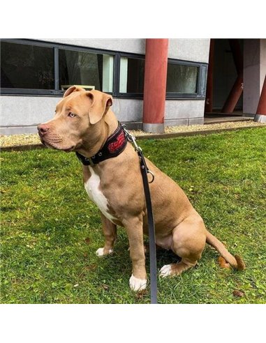 Zgarda Red Dragon, Piele Naturala, Negru, pentru Cane Corso, Amstaff, Doberman etc