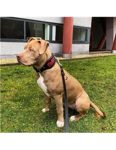 Zgarda Red Dragon, Piele Naturala, M, Negru