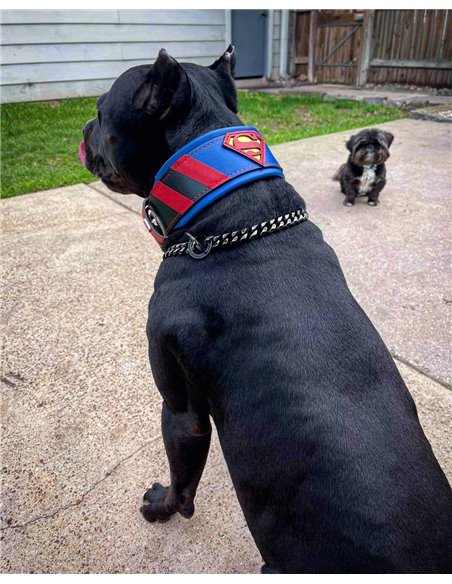 Zgarda Superman, Piele Naturala, M/L/XL, pentru Cane Corso, Labrador, Amstaff etc