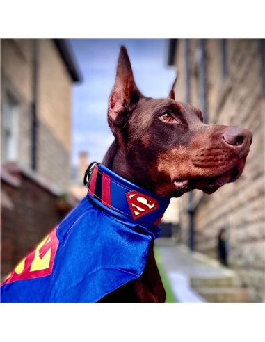 Zgarda Superman, Piele Naturala, M/L/XL, pentru Cane Corso, Labrador, Amstaff etc