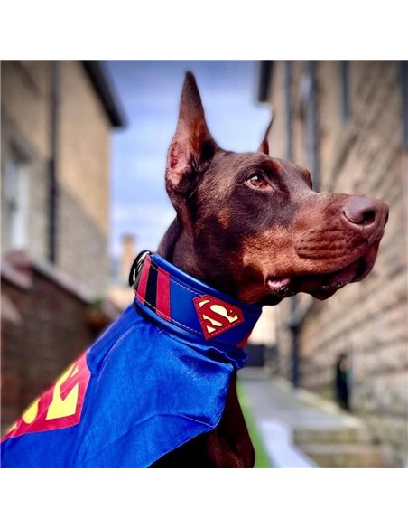 Zgarda Superman, Piele Naturala, M/L/XL, pentru Cane Corso, Labrador, Amstaff etc