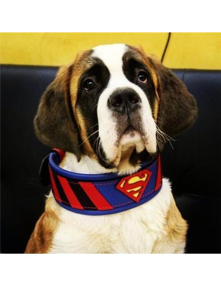Zgarda Superman, Piele Naturala, M/L/XL, pentru Cane Corso, Labrador, Amstaff etc