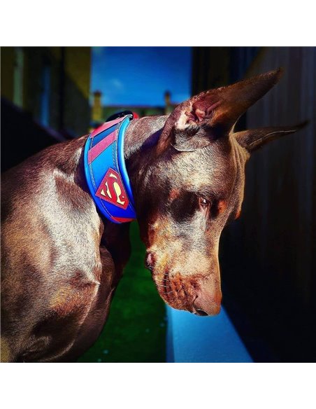 Zgarda Superman, Piele Naturala, M/L/XL, pentru Cane Corso, Labrador, Amstaff etc