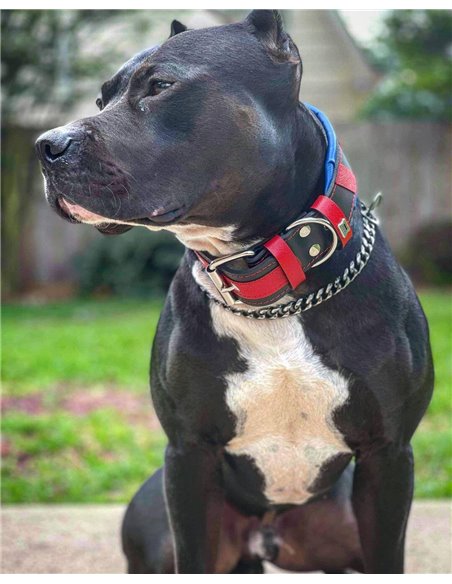 Zgarda Superman, Piele Naturala, M/L/XL, pentru Cane Corso, Labrador, Amstaff etc