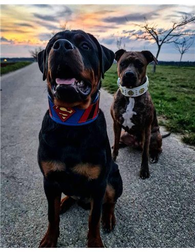 Zgarda Superman, Piele Naturala, L