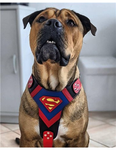 Ham Superman, Piele Naturala, M/L, pentru Ciobanesc German, Doberman, Akita etc