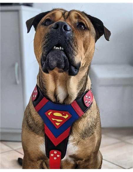 Ham Superman, Piele Naturala, M/L, pentru Ciobanesc German, Doberman, Akita etc