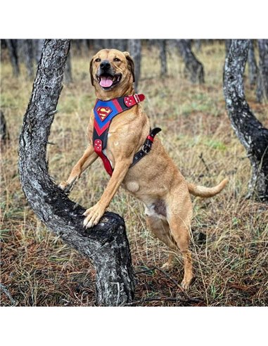 Ham Superman, Piele Naturala, M/L, pentru Ciobanesc German, Doberman, Akita etc