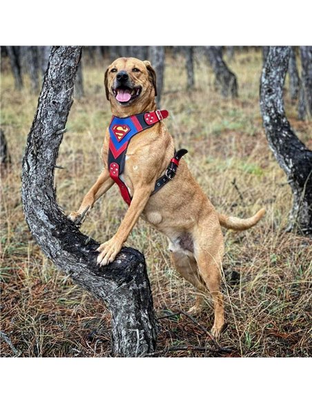 Ham Superman, Piele Naturala, M/L, pentru Ciobanesc German, Doberman, Akita etc