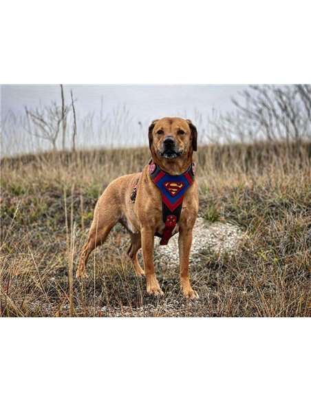 Ham Superman, Piele Naturala, M/L, pentru Ciobanesc German, Doberman, Akita etc