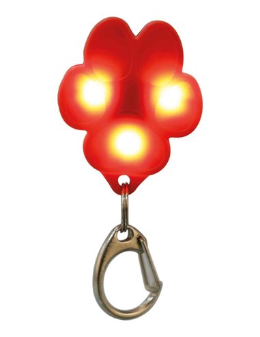 Flasher USB Pentru Zgarda Cainilor, 3.5x4.3 cm, Diverse Culori, 13449	