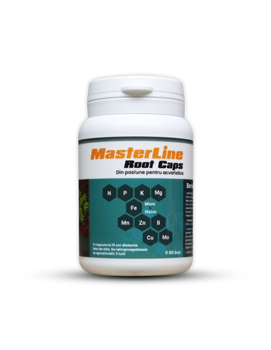 MasterLine Root Caps, 60 Capsule
