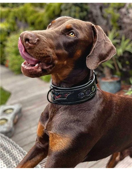 Zgarda Batman, Piele Naturala, M/L, pentru Labrador, Doberman, Bulldog etc