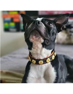 Zgarda Bijou Puppy, Piele Naturala, M, Negru/Rosu 2