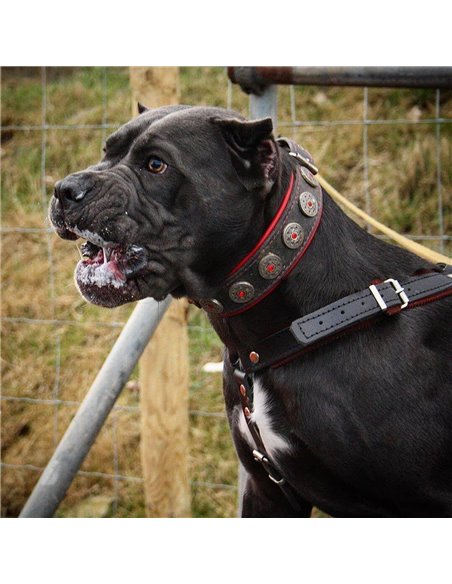 Zgarda Bijou, Piele Naturala, S, Negru/Rosu