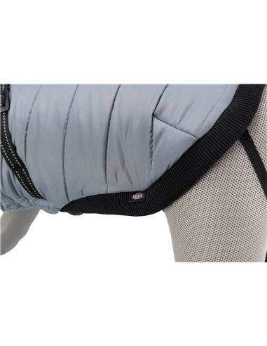 Hainuta Cu Ham Pontis, S 33 cm, Gri, 680343