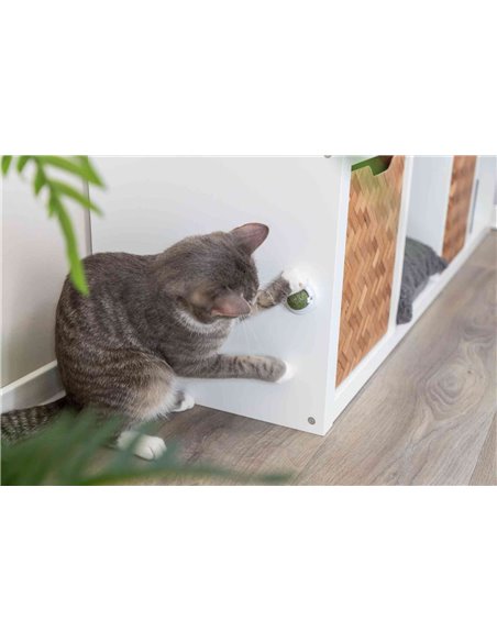 Jucarie Pentru Pisici, Minge Catnip Cu Suport, 5 cm, 42242