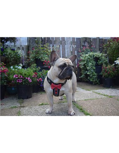 Ham Bowtie-Papion, Piele Naturala, S: 40-73 cm, Negru/Rosu, pentru Pug, Bulldog, Jack Russel, etc