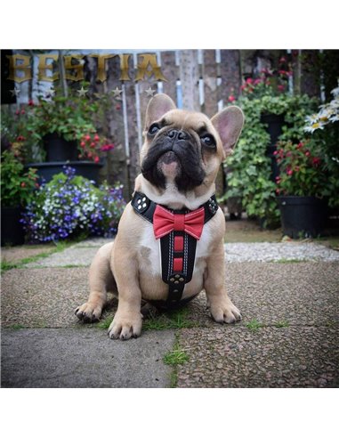 Ham Bowtie-Papion, Piele Naturala, S: 40-73 cm, Negru/Rosu, pentru Pug, Bulldog, Jack Russel, etc