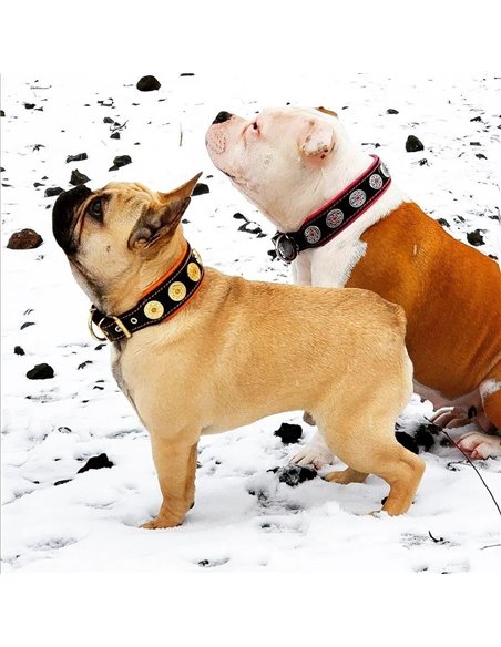 Zgarda Bijou, Piele Naturala, M: 42.5-50 cm, Negru/Roz, pentru Pug, Bulldog, Retriever, etc