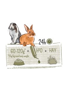 Hrana Pentru Iepuri, Puur, Musli Gourmet Cu Legume, 600 g, L654800 2