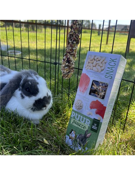 Batoane Pentru Rozatoare, Puur Gourmet, Cu Orez Expandat Si Miere, 2 buc/ 110 g, L654922