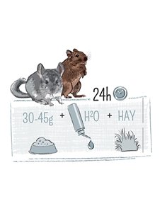 Hrana Pentru Chinchilla/Degu, Puur, Musli Gourmet Cu Legume, 500 g, L654815 2