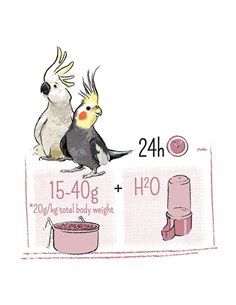 Hrana Pentru Nimfe, Puur, Mix De Seminte, 750 g, L654872 2