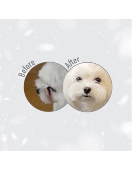 Natures Protection Superior Care, White Dogs Adult, Peste Alb, 1,5 Kg