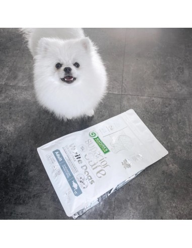 Natures Protection Superior Care, White Dogs...