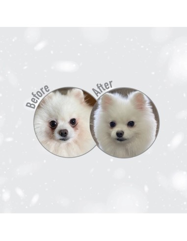 Natures Protection Superior Care, White Dogs,...