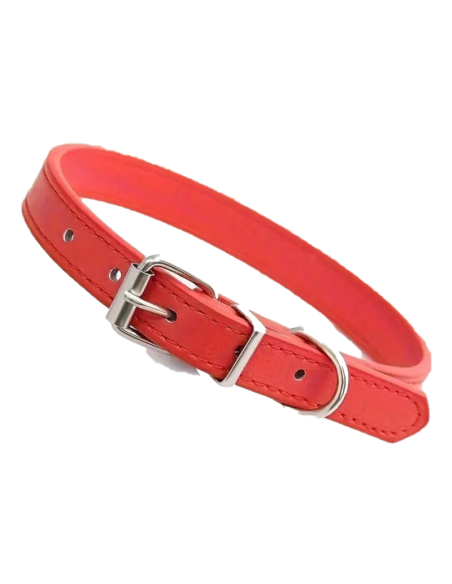 Zgarda Piele Ecologica pentru caini, 26x1.5 cm