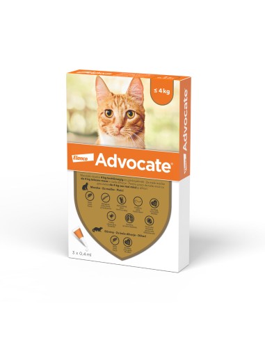 Advocate pisici 0-4 kg, 1 pipeta