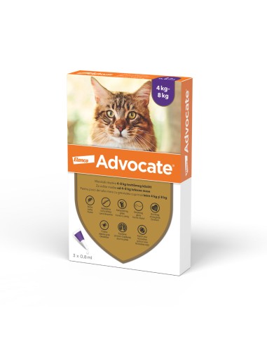 Advocate pisici 4-8 kg 1 pipeta
