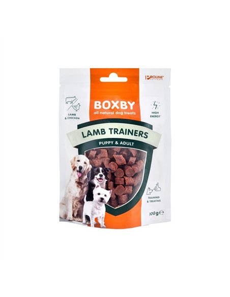 Proline Boxby Trainers Miel 100 G