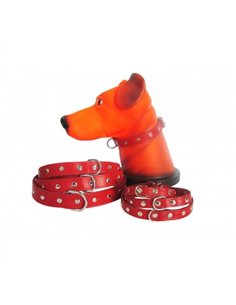 PET EXPERT ZGARDA CAPSE 1,4X37CM ROSU NR.2