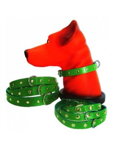 PET EXPERT ZGARDA CAPSE 1,8X45CM VERDE NR.4