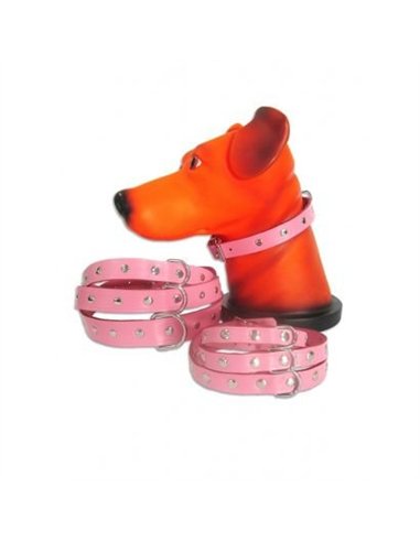 PET EXPERT ZGARDA CAPSE 2,5X55CM ROZ NR.6