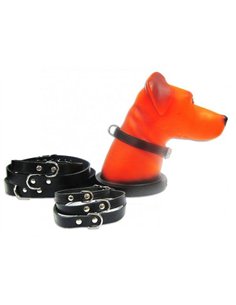 PET EXPERT ZGARDA CLASIC 1,6X41CM NEGRU NR.3