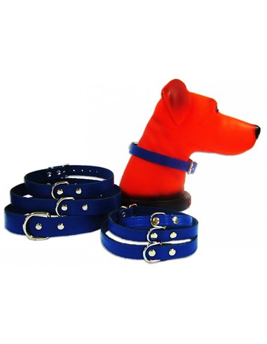 PET EXPERT ZGARDA CLASIC 2,0X50CM ALBASTRU NR.5