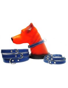 PET EXPERT ZGARDA PASLA 1,0X27CM ALBASTRU NR.0