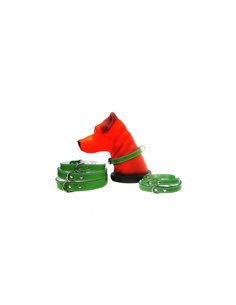 PET EXPERT ZGARDA PASLA 1,4X37CM VERDE NR.2