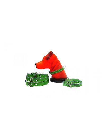 PET EXPERT ZGARDA PASLA 1,4X37CM VERDE NR.2