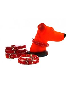 PET EXPERT ZGARDA PASLA 1,6X41CM ROSU NR.3