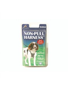 Coa Halti Ham Caine 15220b M