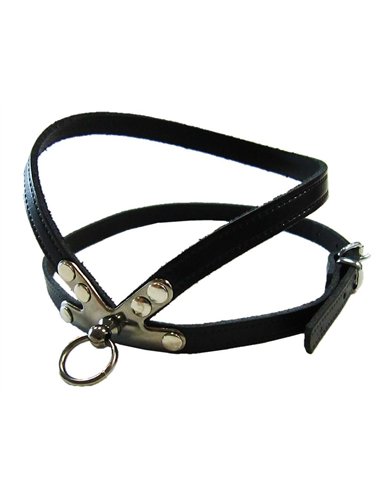 PET EXPERT HAM CLASIC NEGRU NR 2