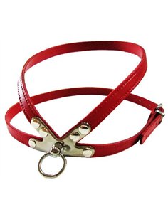 PET EXPERT HAM CLASIC ROSU NR 1