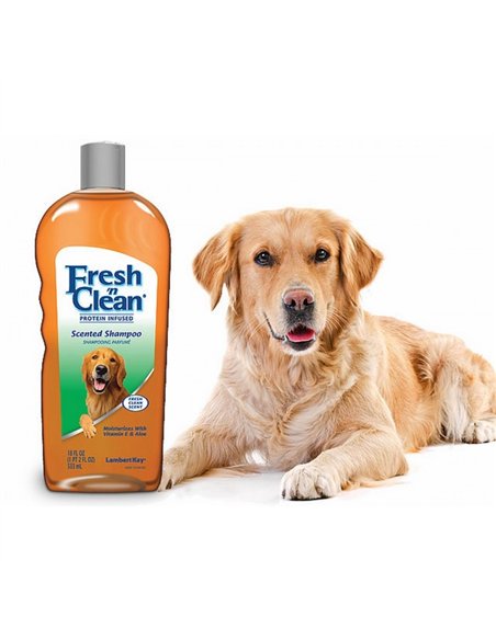 Fresh'n Clean Sampon Scented 533 Ml