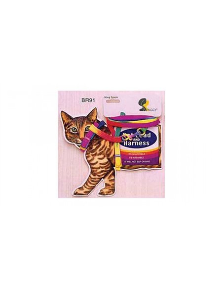 Pet Expert ham+lesa pisici BR91 card